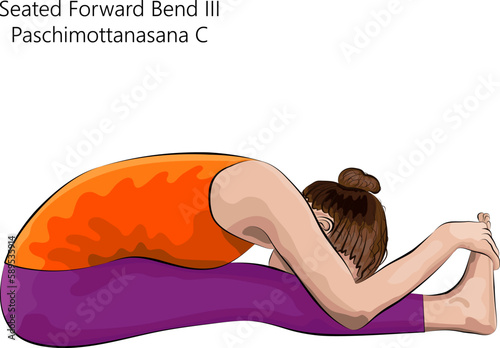 Young woman practicing yoga exercise, doing Seated Forward Bend 3 pose or Intense West Stretch. Paschimottanasana C. Seated and Forward Bend. Beginner. Vector illustration isolated on white background