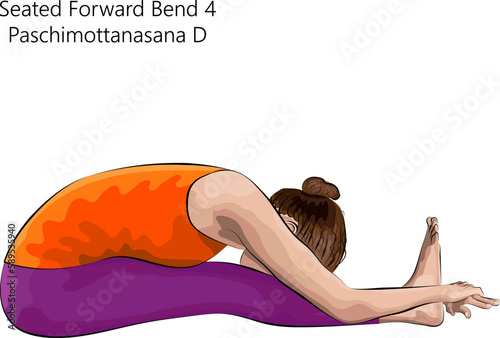 Young woman practicing yoga exercise, doing Seated Forward Bend 4 pose or Intense West Stretch. Paschimottanasana D. Seated and Forward Bend. Beginner. Vector illustration isolated on white background