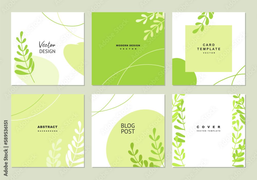 Green minimal backgrounds with geometric shapes and simple floral elements. Vector for social media post, invitation, greeting card, packaging, branding design, banner, presentation, advertising.