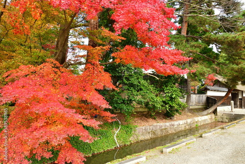 笹川邸の紅葉（新潟県） photo