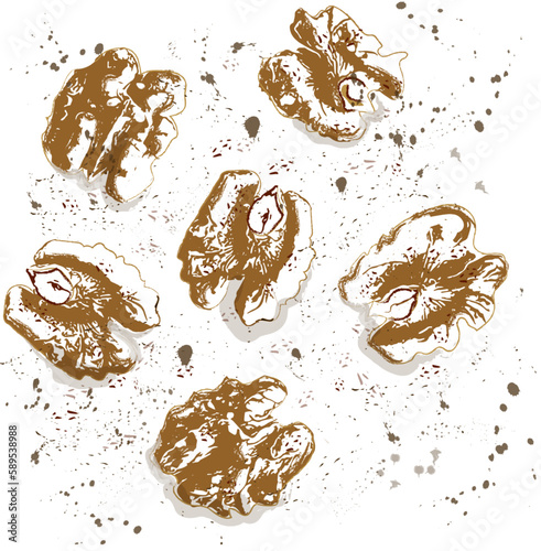Walnuts vintage texture vector. Ink abstract drops background