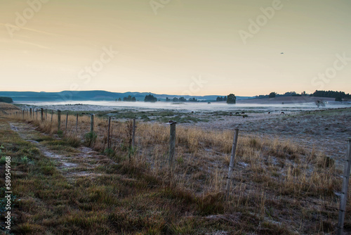 sunrise in the field