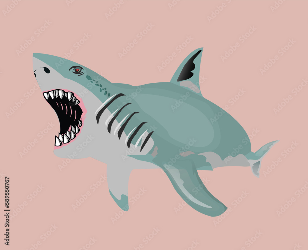 Fototapeta premium shark