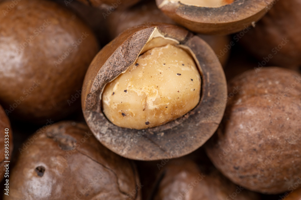 Fototapeta premium Unpeeled macadamia nuts on the table