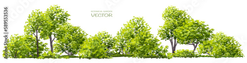 Vector watercolor of green grass side view isolated on white background for landscape and architecture drawing, elements for environment and garden, painting botanical for exterior section,elevation