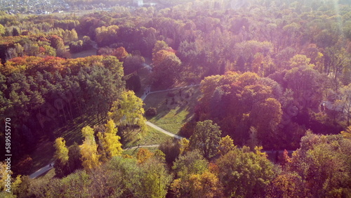 Flying over trees with yellow and green leaves in park with dirt paths on sunny autumn day. Forest wood nature sunlight sunshine. Autumnal background. Aerial drone view. Red sun glare, solar flare © mari1408