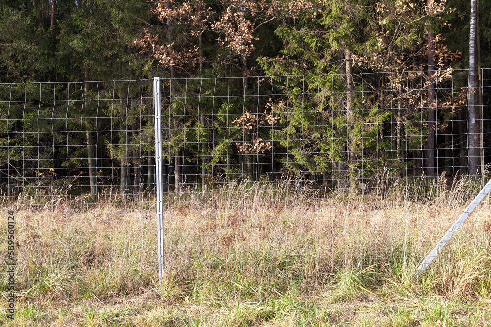 Obraz premium metal fencing in the forest to protect the territory from wild animals