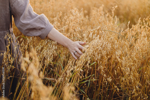 Stylish woman holding oat stems in evening light  hand close up. Rural slow life. Young female in rustic linen dress standing in harvest field in summer countryside. Atmospheric tranquil moment