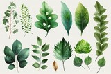 Watercolor elements of green leaves, greenery, artistic foliage, natural leaves, herbs in a watercolor style. decorative beauty illustration for design. generative AI