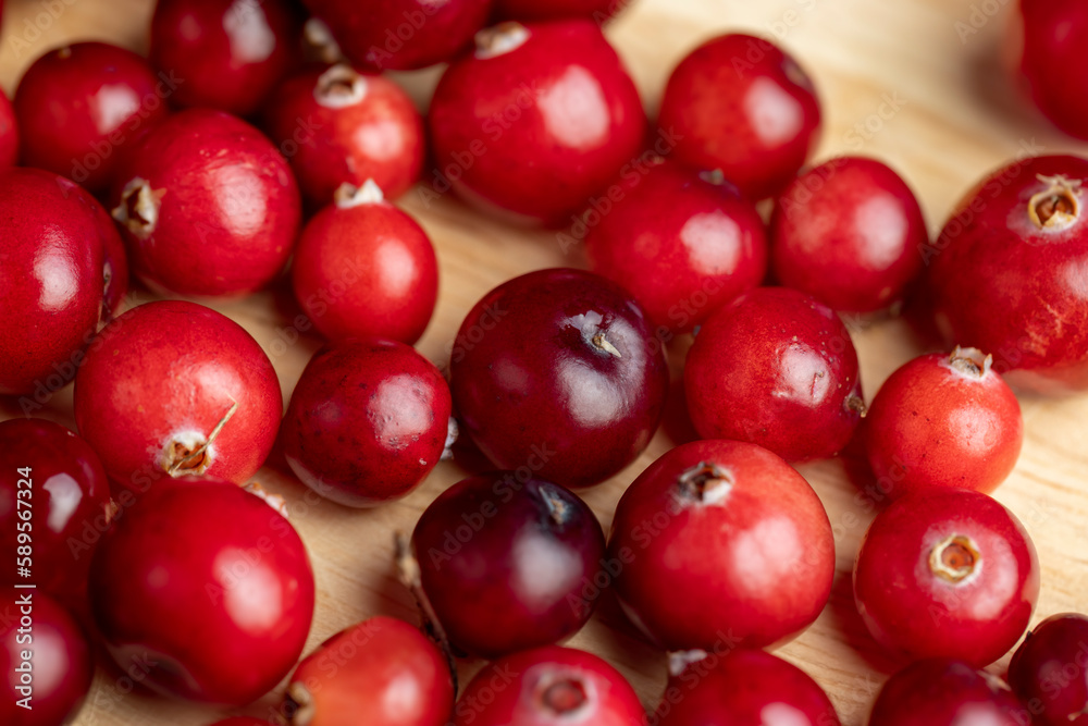 Red ripe cranberries harvested in swamps Red ripe cranberries harvested in swamps