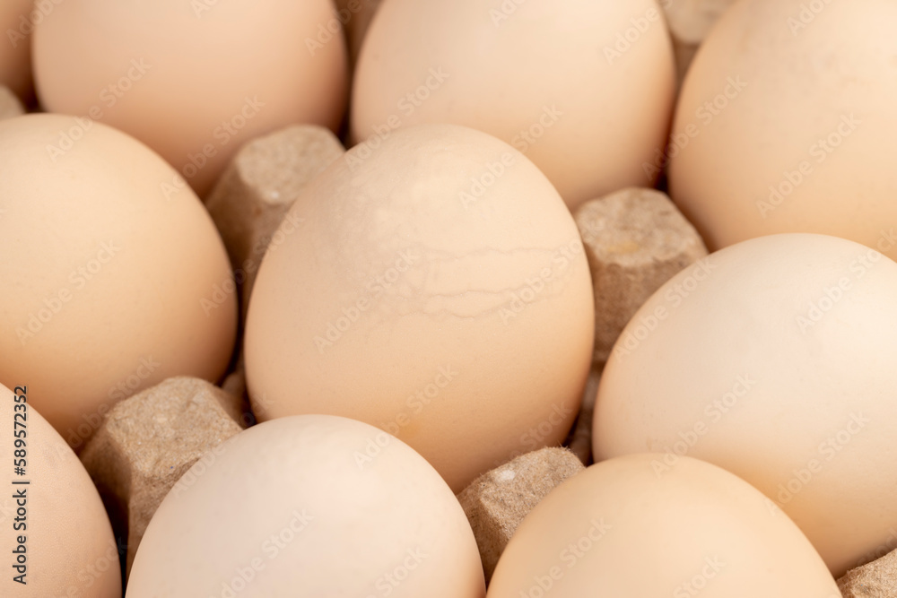 Tray with a large number of white chicken eggs Tray with a large number of white chicken eggs