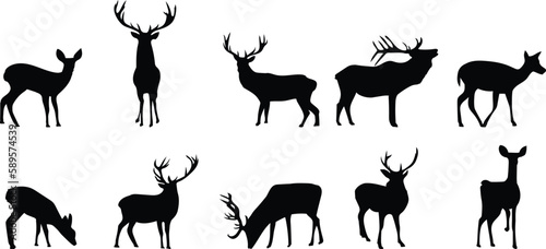 silhouettes of deer animals pets