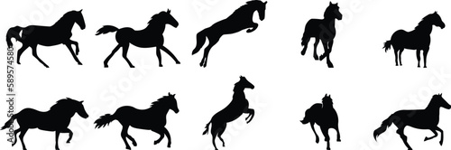 set of silhouettes of animal collection 