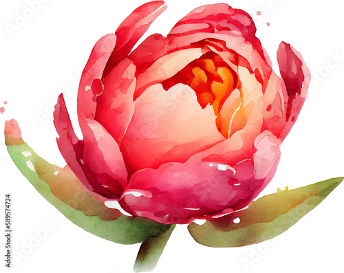 Watercolor red floral illustration, wedding peony flower, botanical decoration painting on white background, AI generated