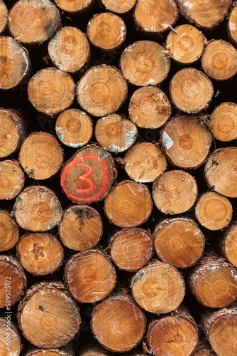 Pile of wood logs stumps for winter   wallpaper wood log   Hintergrund   Holz   Oberfl  che   Abstrakt   Retro   Alt   Grafisch   Braun   Muster   Background   Wood brown grunge texture background