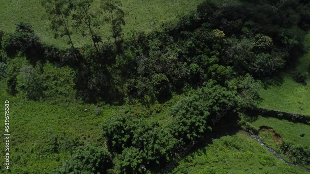 Aerial view of beautiful forest full of nature and pasture fields in Tremembé in Vale da Paraíba in São Paulo. Mountains and hills in sunny day. Lots of green and tropical vegetation. Drone. Aerial view of beautiful forest full of nature and pasture fields in Tremembé in Vale da Paraíba in São Paulo. Mountains and hills in sunny day. Lots of green and tropical vegetation. Drone.