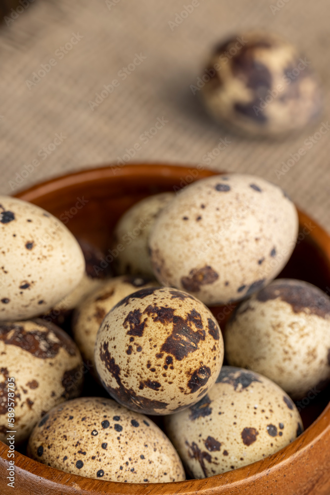 a large number of small spotted quail eggs on the table a large number of small spotted quail eggs on the table