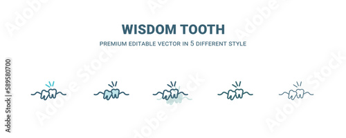 wisdom tooth icon in 5 different style. Outline, filled, two color, thin wisdom tooth icon. Editable vector can be used web and mobile