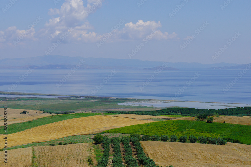 landscape with fields