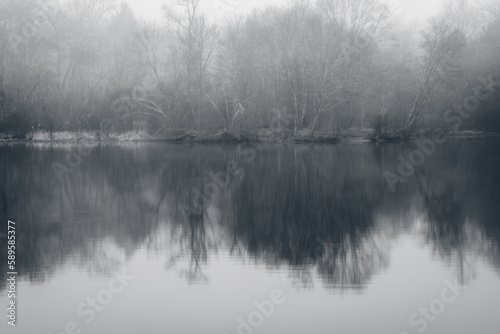 Foggy reflections of trees in the lake done in black and white