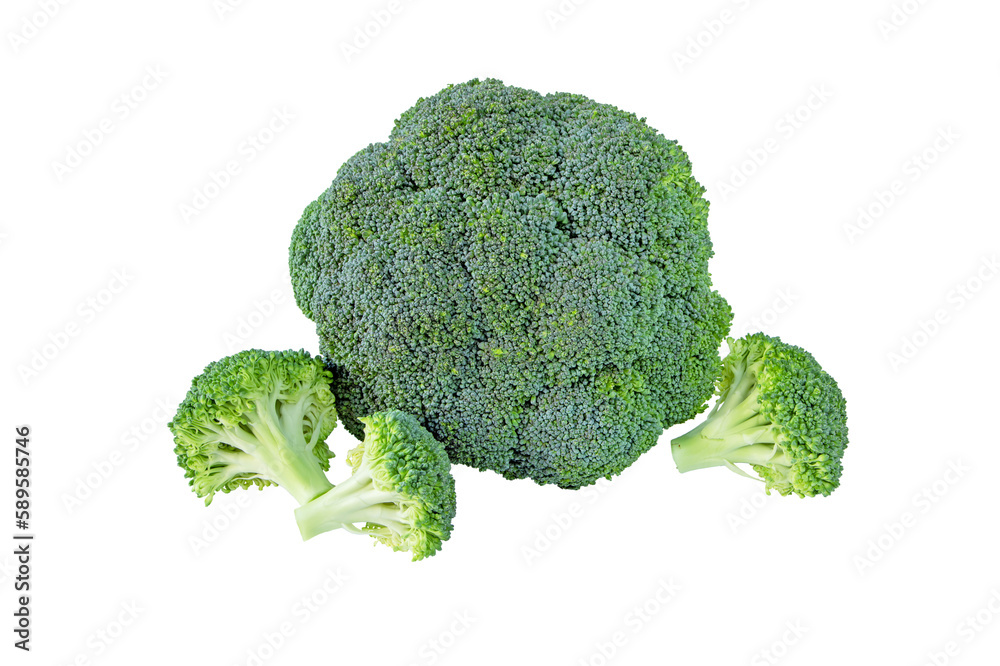Broccoli or calabrese cabbage head and separate florets isolated transparent png. Brassica oleracea var italica vegetable. Edible green plant Broccoli or calabrese cabbage head and separate florets isolated transparent png. Brassica oleracea var italica vegetable. Edible green plant