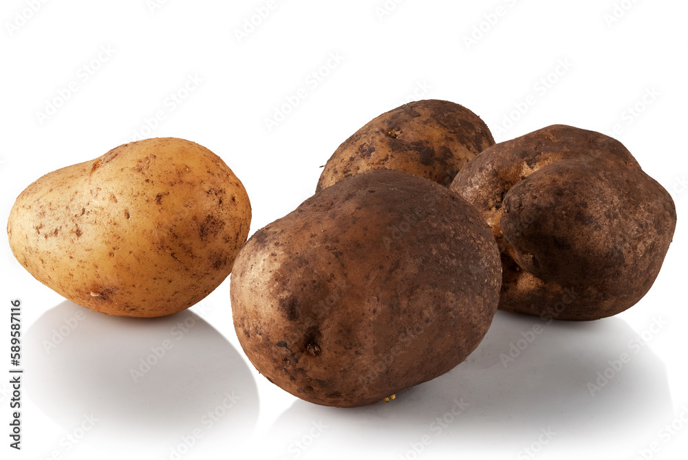 potatoes close-up on a white background potatoes close-up on a white background