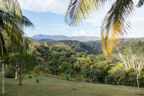 Mountain landscape of the gorge on the island of Mauritius, Green mountains of the jungle of Mauritius. Tropical forest with palm trees. View of the mountains and fields of the island of Mauritius.