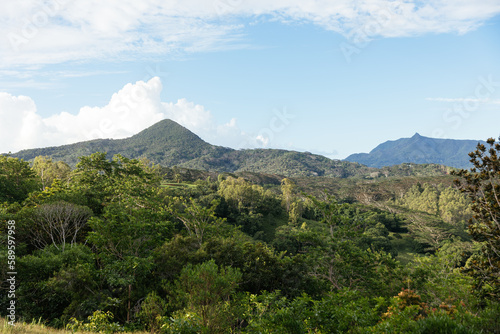 Mountain landscape of the gorge on the island of Mauritius, Green mountains of the jungle of Mauritius. Tropical forest with palm trees. View of the mountains and fields of the island of Mauritius.