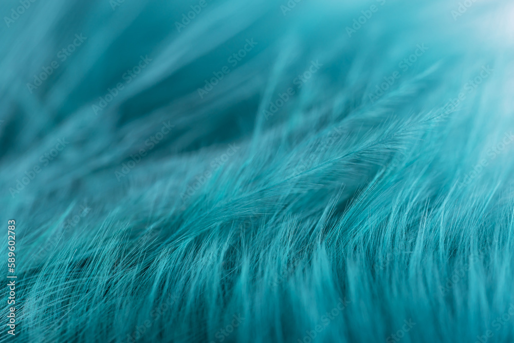 Obraz premium Green turquoise feathers in soft and blur style for background, macro shot