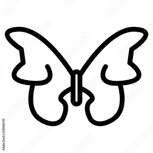 butterfly