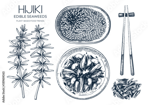 Hand-drawn hijiki sketches set. Sea vegetable drawings. Sea kale isolated on white. Edible seaweed vector food illustration. Japanese cuisine dishes menu design elements. Heathy eating ingredients