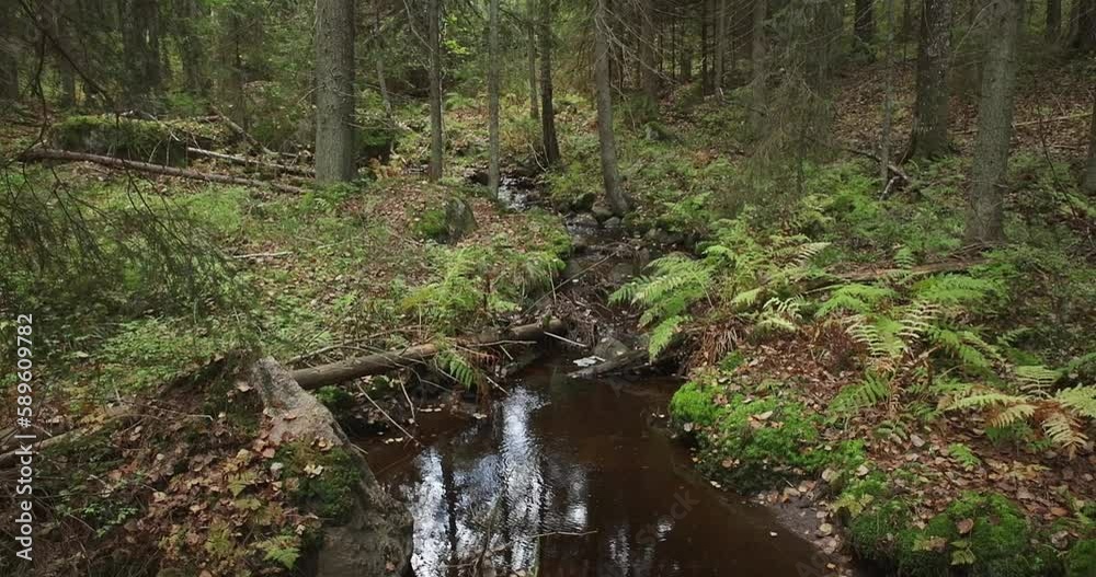 Small stream in forest in autumn with fallen leaves on the ground, Nuuksio National Park, Finland. Small stream in forest in autumn with fallen leaves on the ground, Nuuksio National Park, Finland.