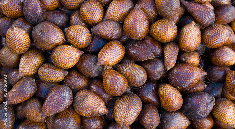 Salak (Salacca zalacca) close-up. Indonesia. Snake fruit Salak (Salacca zalacca) close-up. Indonesia. Snake fruit