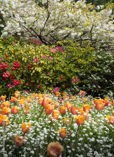 Vancouver IslandSpring Blooms in Buchart Formal Gardens