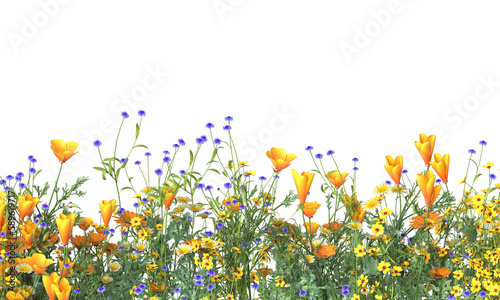 Various types of flowers grass bushes shrub and small plants isolated