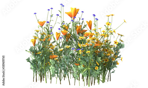 Various types of flowers grass bushes shrub and small plants isolated