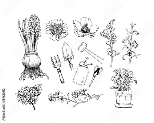 A set of house plants, tools for the garden, flowers. Collection of sketch vector illustrations.