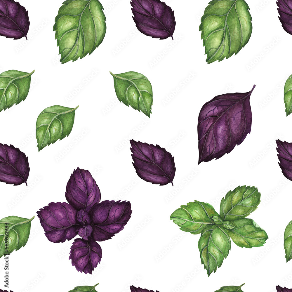 Watercolor pattern by purple and green basil Watercolor pattern by purple and green basil