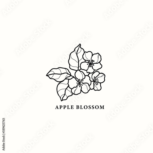 Line art apple blossom illustration