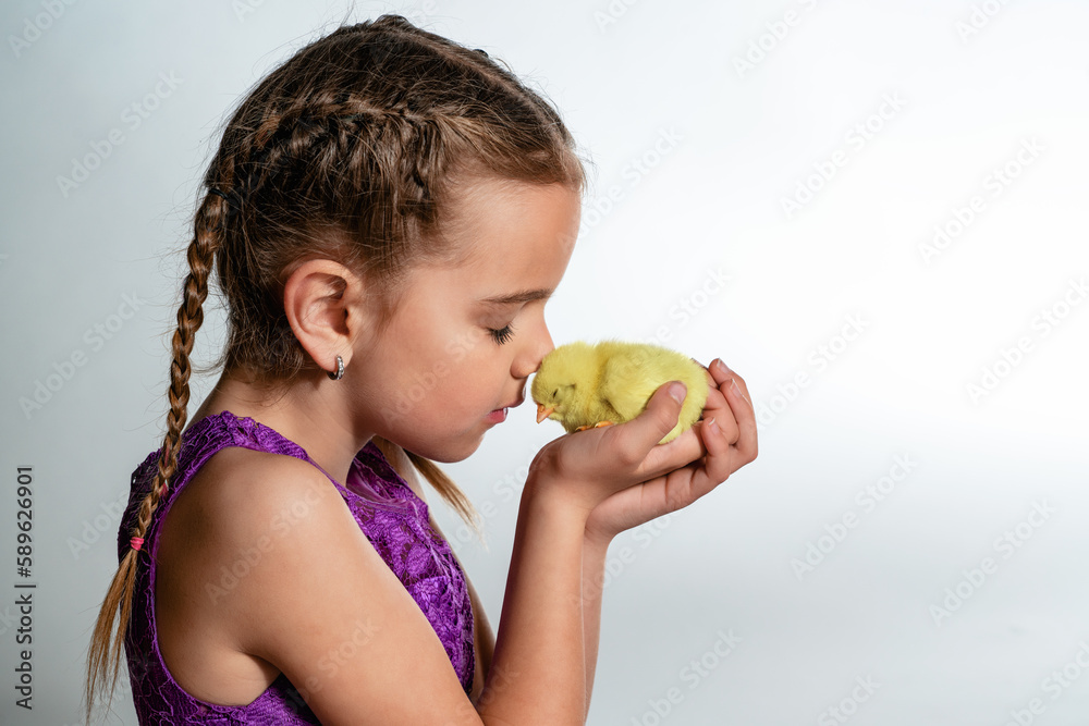 Kleines Mädchen das eine Freundschaft mit dem Küken macht Kleines Mädchen das eine Freundschaft mit dem Küken macht