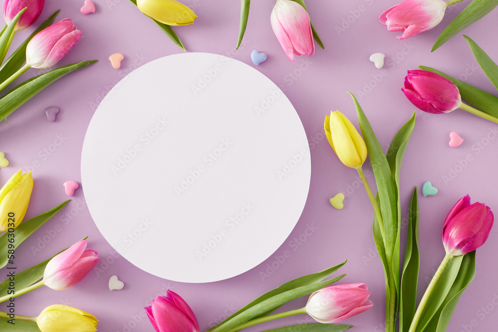 Mother's Day concept. Creative layout made of white circle yellow pink tulips flowers and small hearts baubles on isolated lilac background. Flat lay with blank space