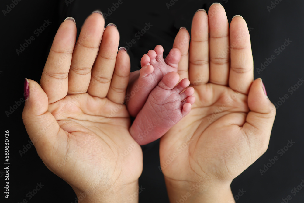 The palms of the parents. A mother hold the feet of a newborn child in a black blanket on a Black background. The feet of a newborn in the hands of parents. Photo of foot, heels and toes The palms of the parents. A mother hold the feet of a newborn child in a black blanket on a Black background. The feet of a newborn in the hands of parents. Photo of foot, heels and toes