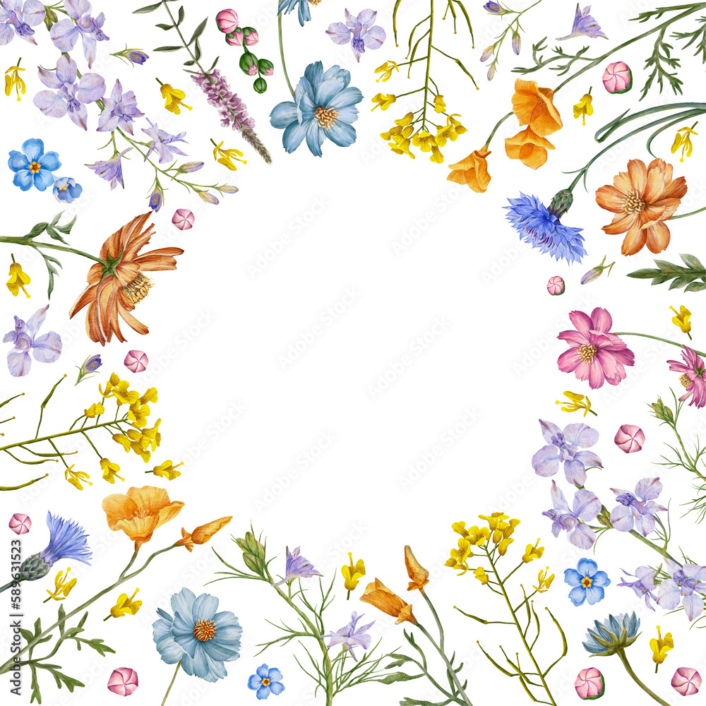 Round floral frame. Meadow flowers and herbs background. Hand drawn flowers