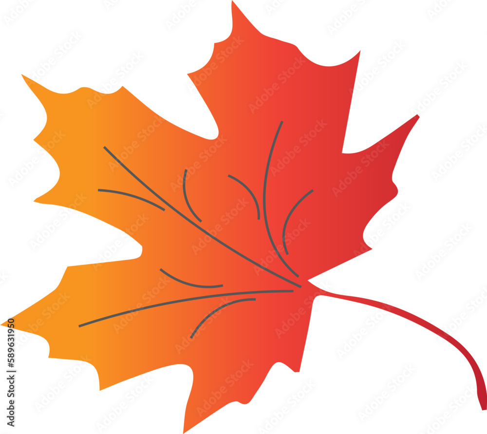 Obraz premium Autumn maple leaf