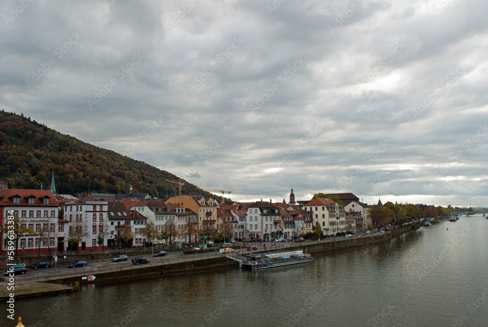 Heidelberg and NeckarRiver 1