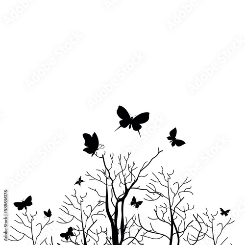 Forest butterflies
