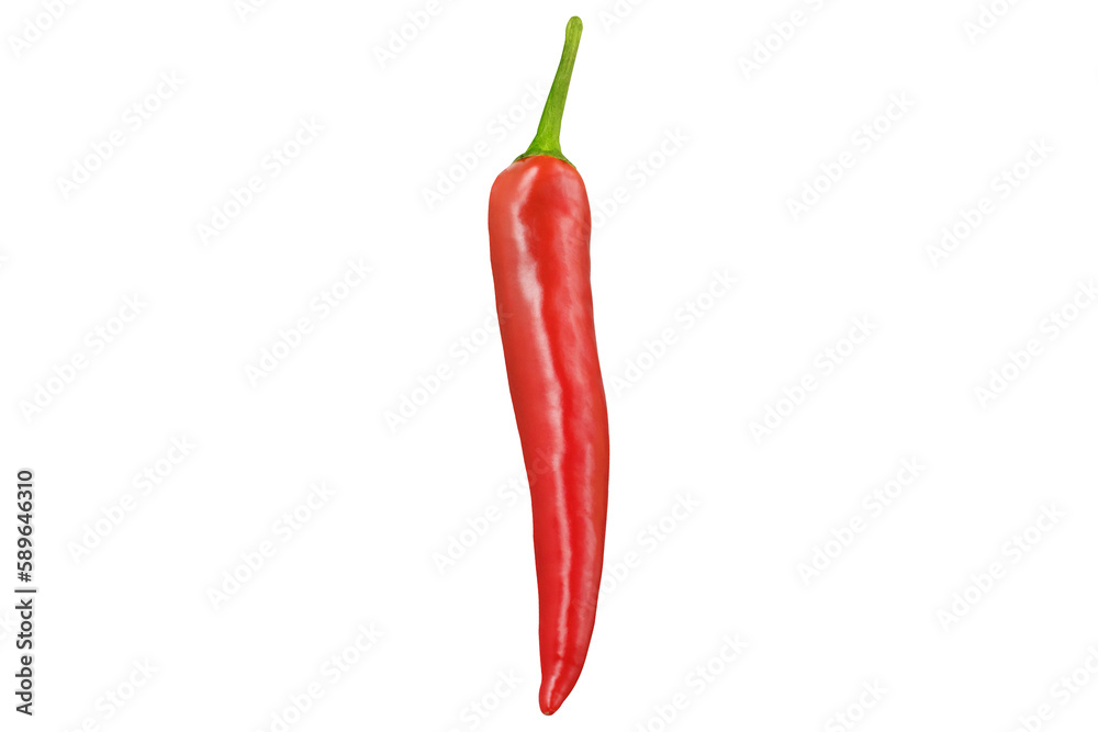 Chili pepper on an isolated white background.