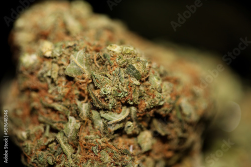 Prescription medical marijuana flower in black canvas cannabis bud weed strain super lemon haze botanical background big size high quality smoking prints