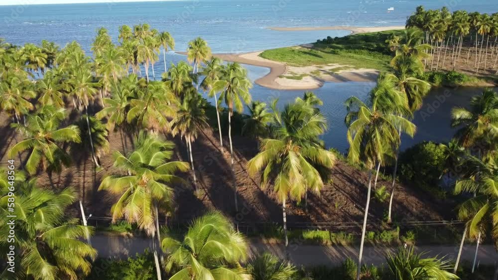 Tamandaré Carneiros Pernambuco Praia Litoral Paraíso Tropical Pernambucano Paradisíaco Coqueiro Mar Areia Ilha Céu Oceano Paisagem Drone Brasil Viagem Turismo Férias Verão