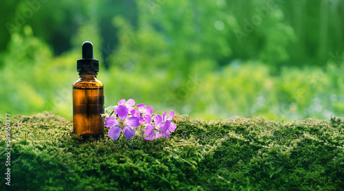 Glass Bottle of herbal essential extract and wild flowers on moss close up, abstract natural green background. eco friendly care organic Cosmetic product. beauty treatment, Spa concept. banner